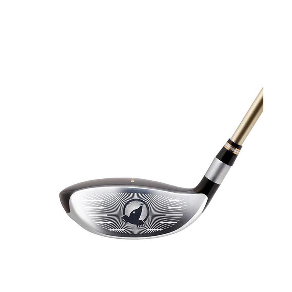 Hybrid Beres 2-Star Honma Golf Picture