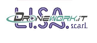 Lisa Dronework's logo