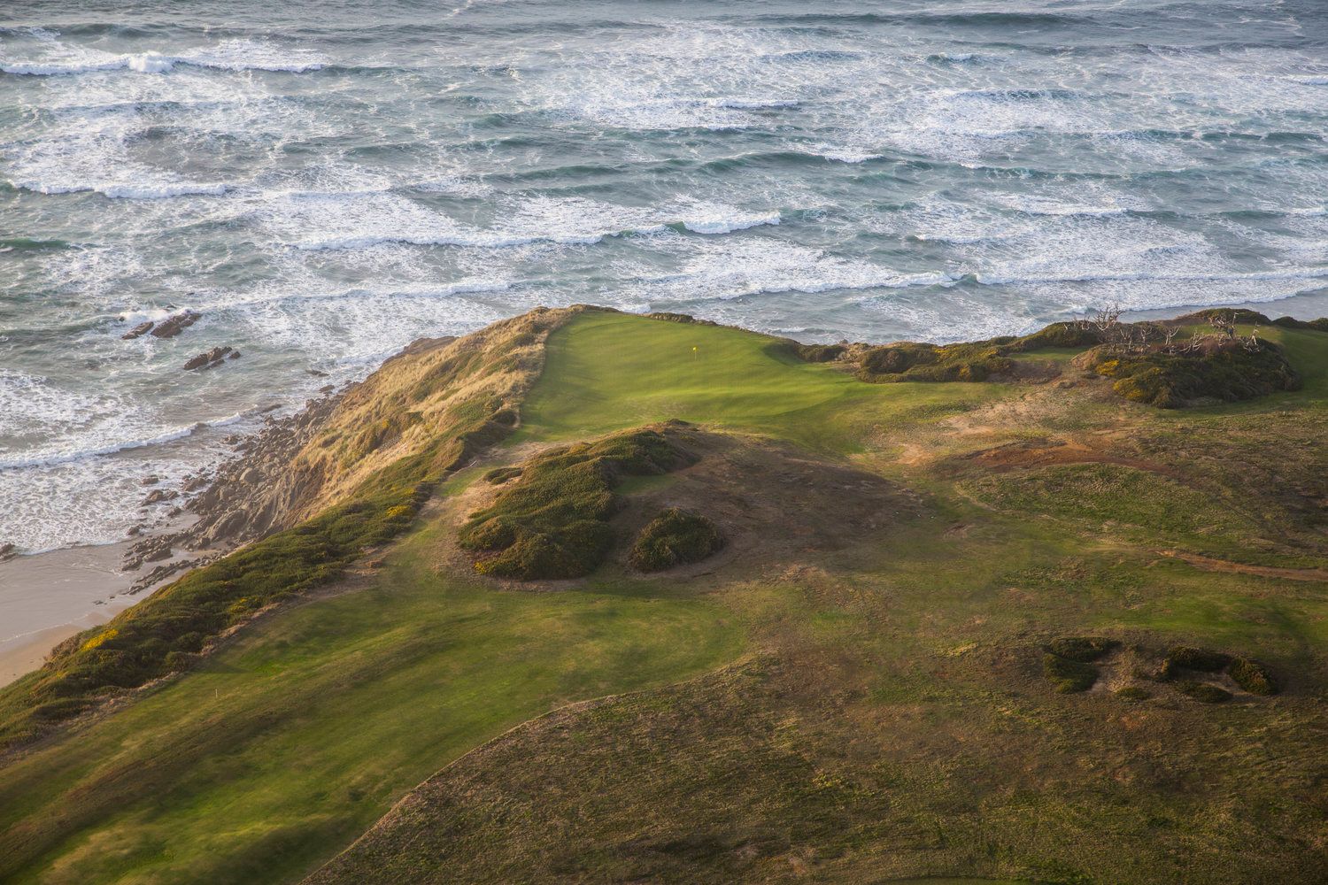 Courses to open in 2020 Cover