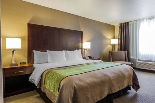 Comfort Inn Kent - Seattle cover picture