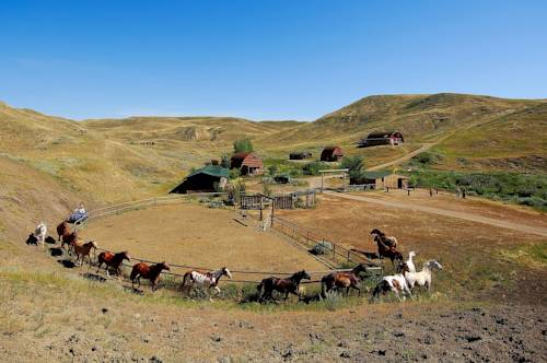 La Reata Ranch Cover Picture
