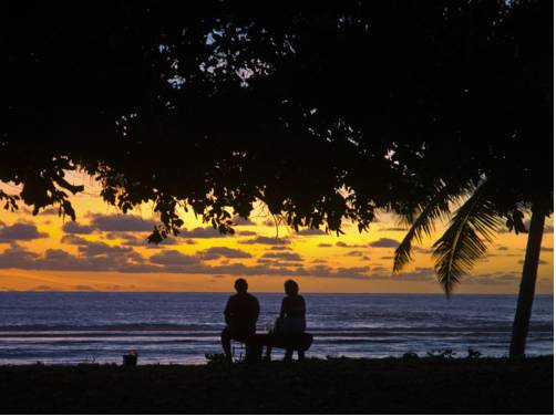 Cocos Castaway Cover Picture
