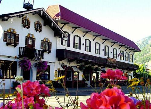Bavarian Ritz Hotel cover picture
