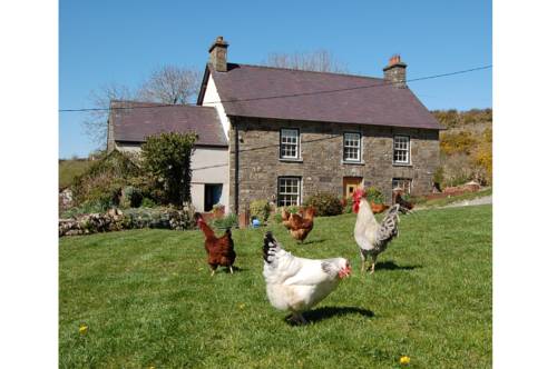Nantgwynfaen Organic Farm B&B Wales Cover Picture