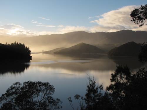 Cable Bay Nest cover picture