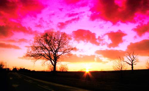 Sunset Motel cover picture