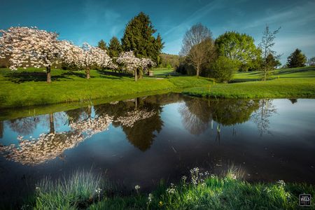 Golf and Country Club Henri-Chapelle - La Chapelle cover picture