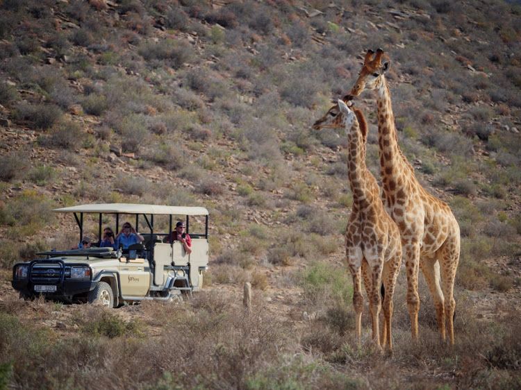 Sanbona Wildlife Reserve illustration