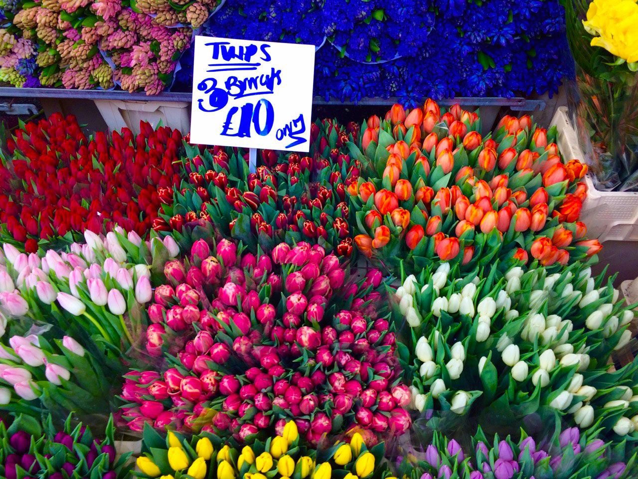 Columbia Road Flower Market illustration