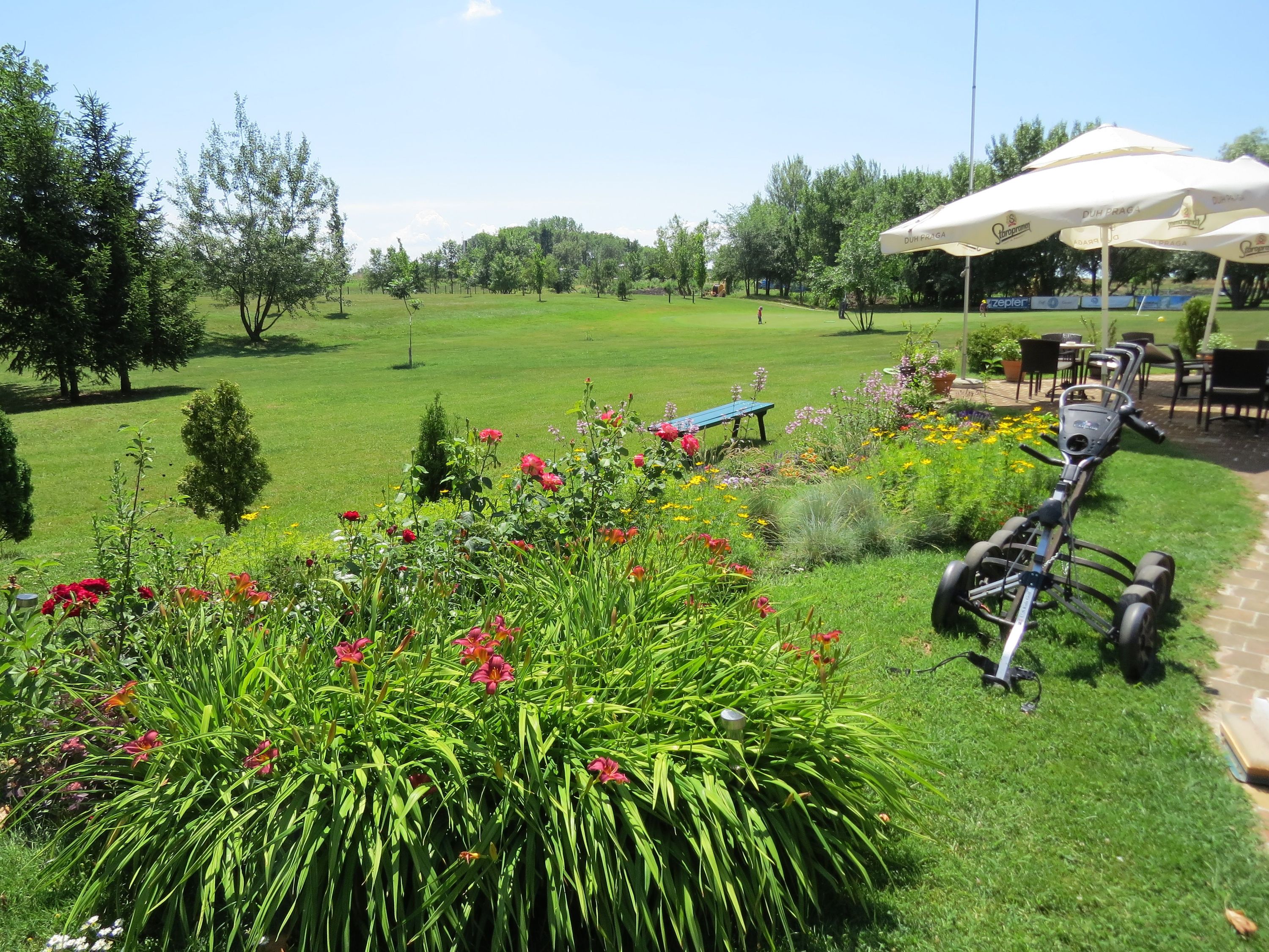 Golf Club Centar cover picture