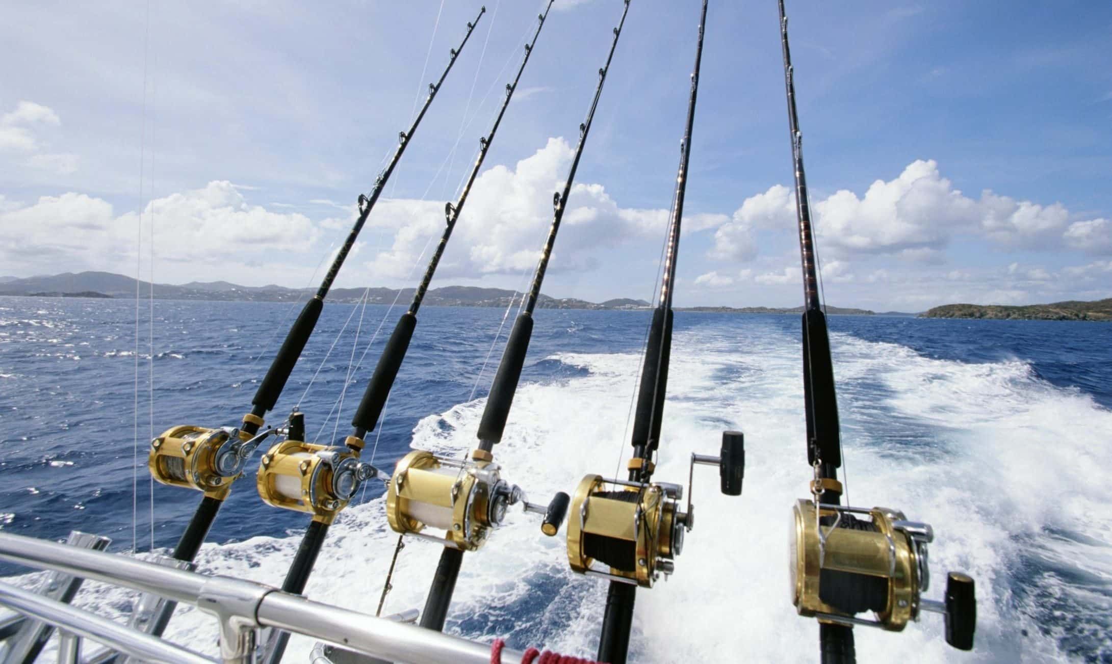 Deep Sea Fishing illustration
