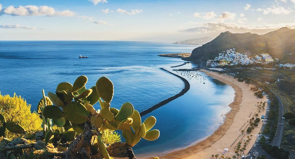 Tenerife and La Gomera, Spain} Cover Picture
