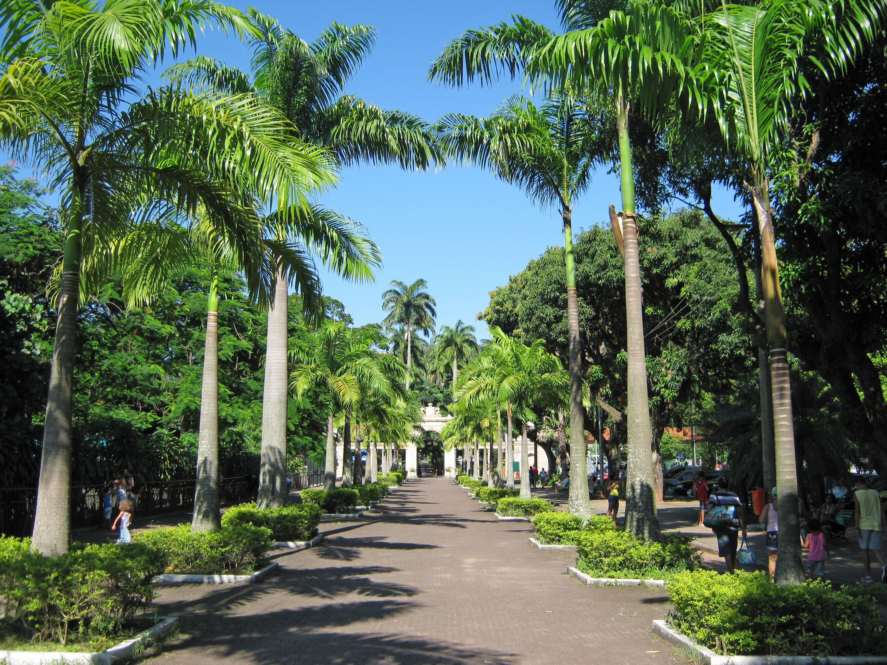 Quinta da Boa Vista illustration