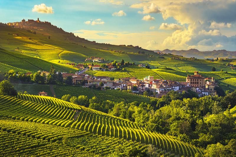 Piedmont, Italy} Cover Picture