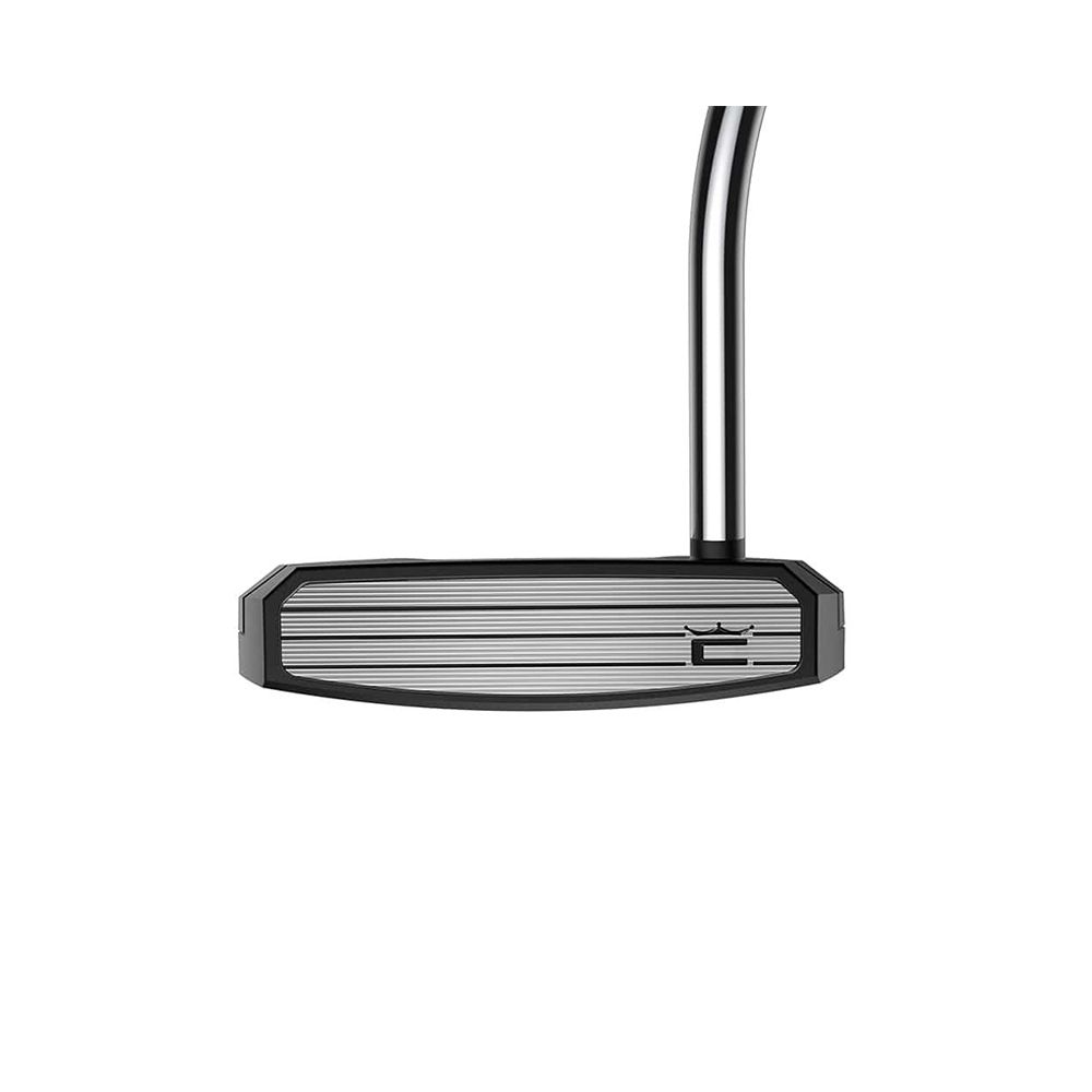 Putter King 3D Printed Agera Cobra Golf Picture