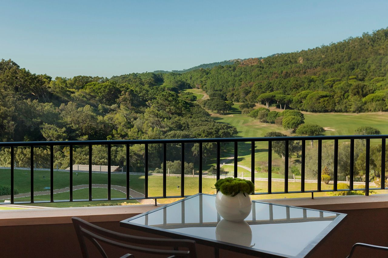 Deluxe Natural Park View room