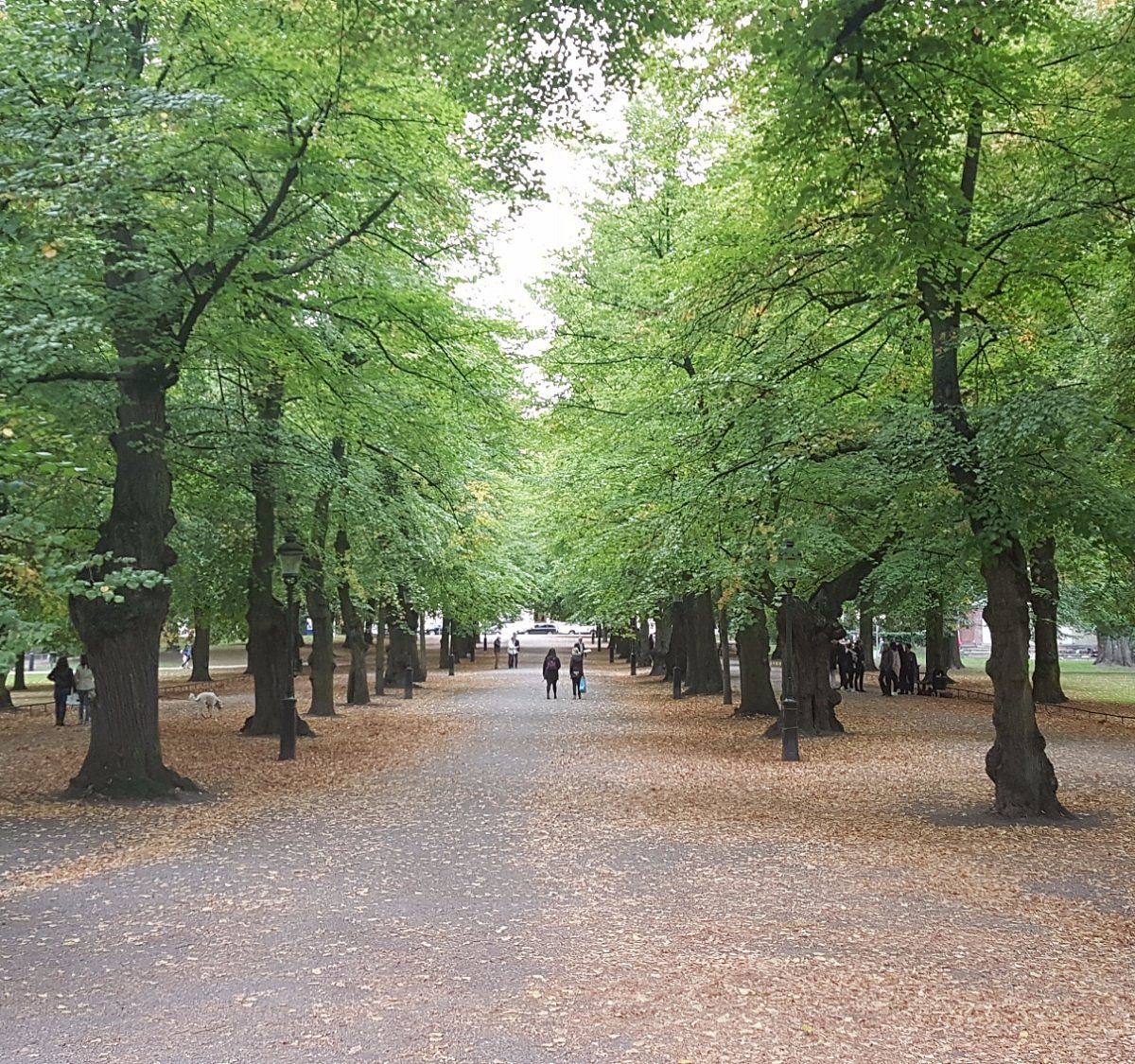 Humlegården illustration
