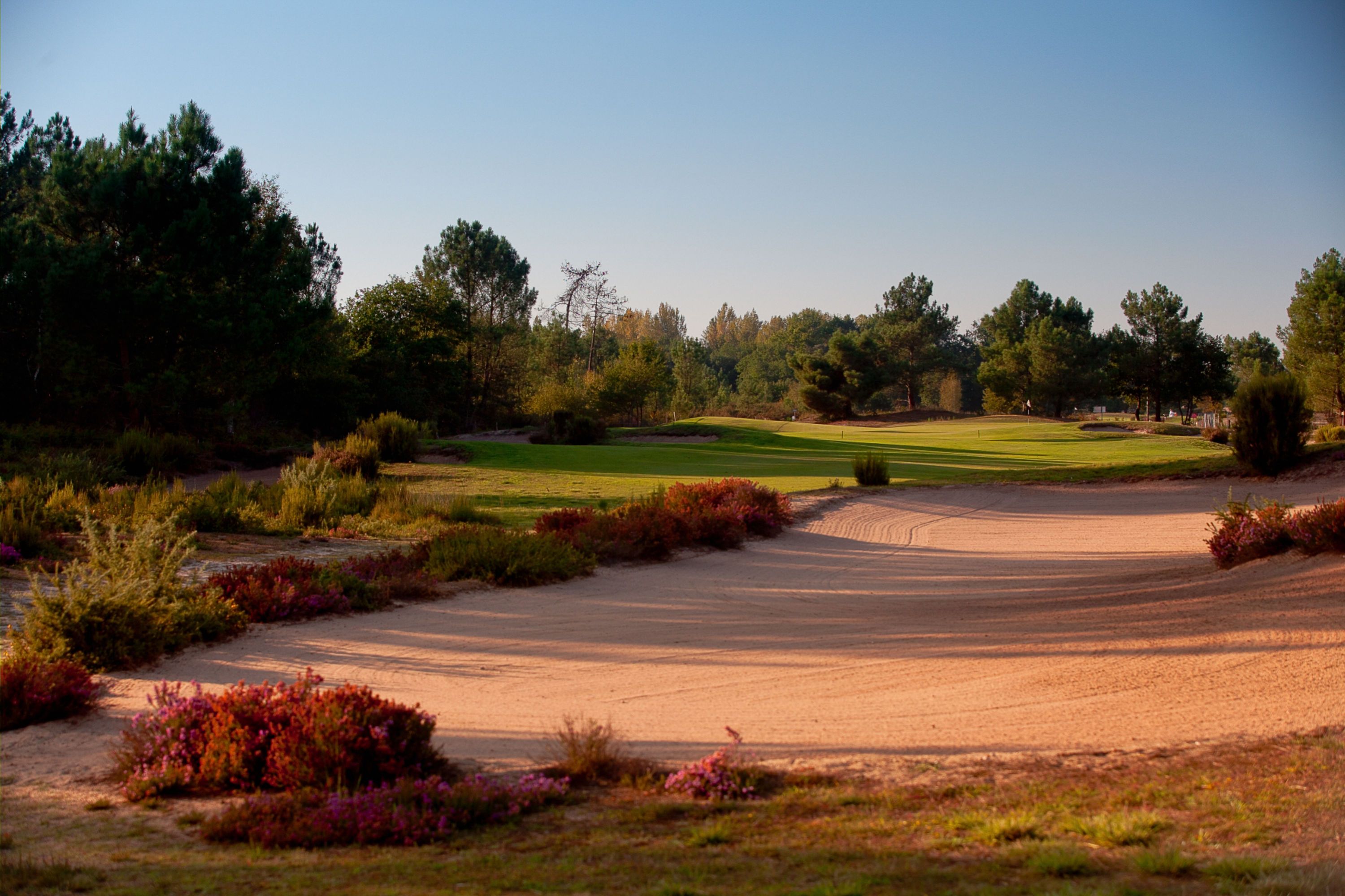 Fairways and Vineyards: 5-Day Golf Adventure in Bordeaux package cover picture
