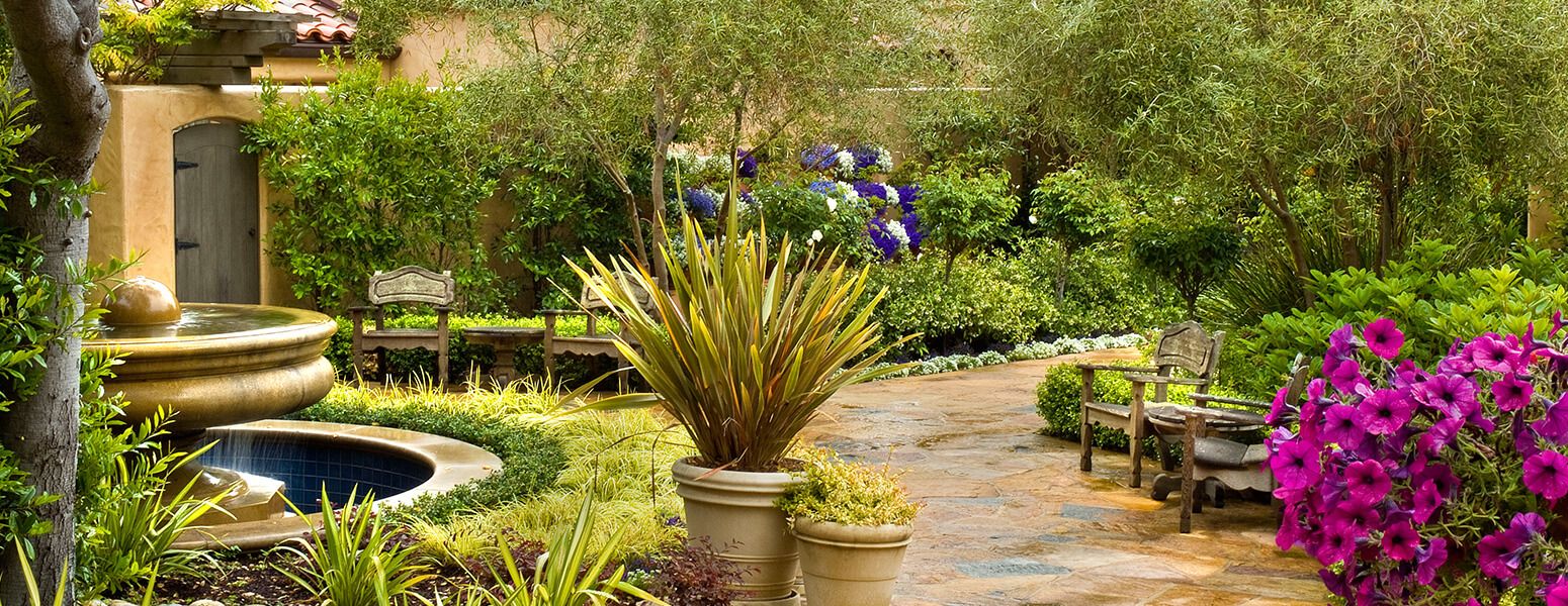 Casa Palmero hotel cover picture