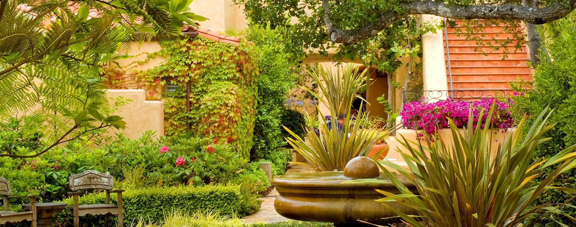 Casa Palmero hotel cover picture