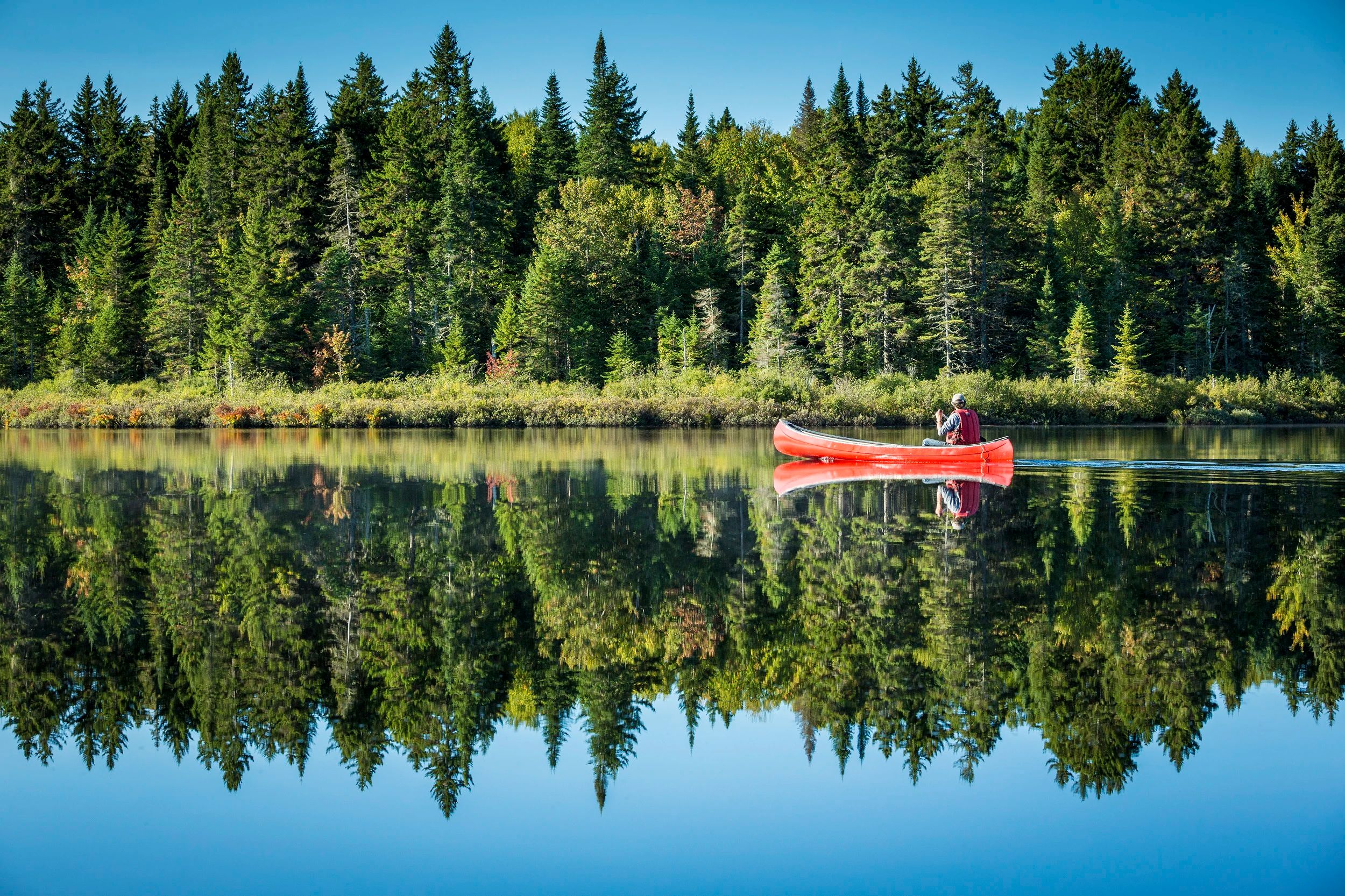 Kayaking and Canoeing illustration