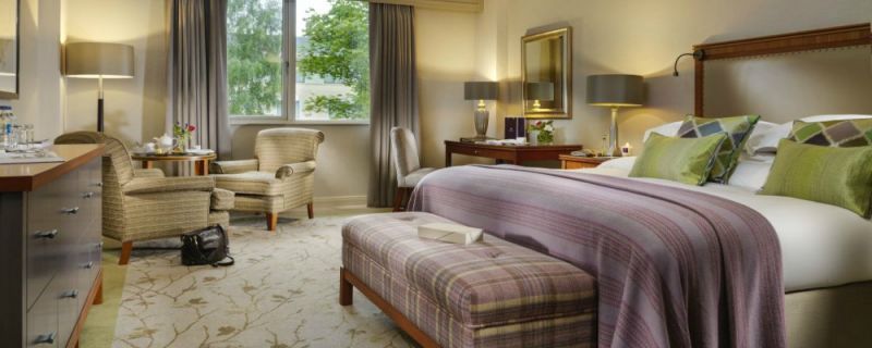Deluxe Guestroom room