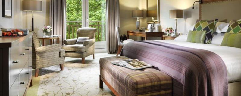 Superior Guestroom room