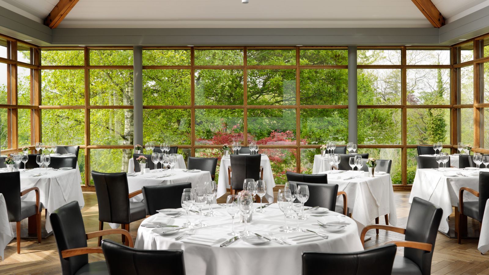 Druids Glen Hotel & Golf Resort hotel cover picture