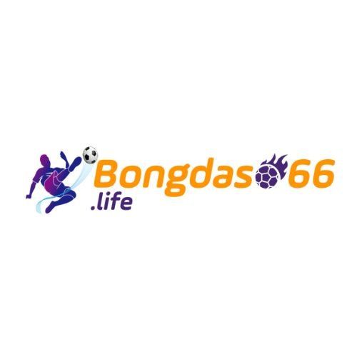 Bongdaso66 liffe Profile Picture