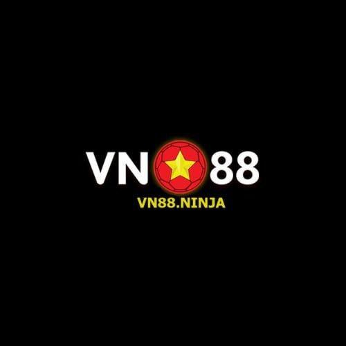 vntamtam ninja Profile Picture
