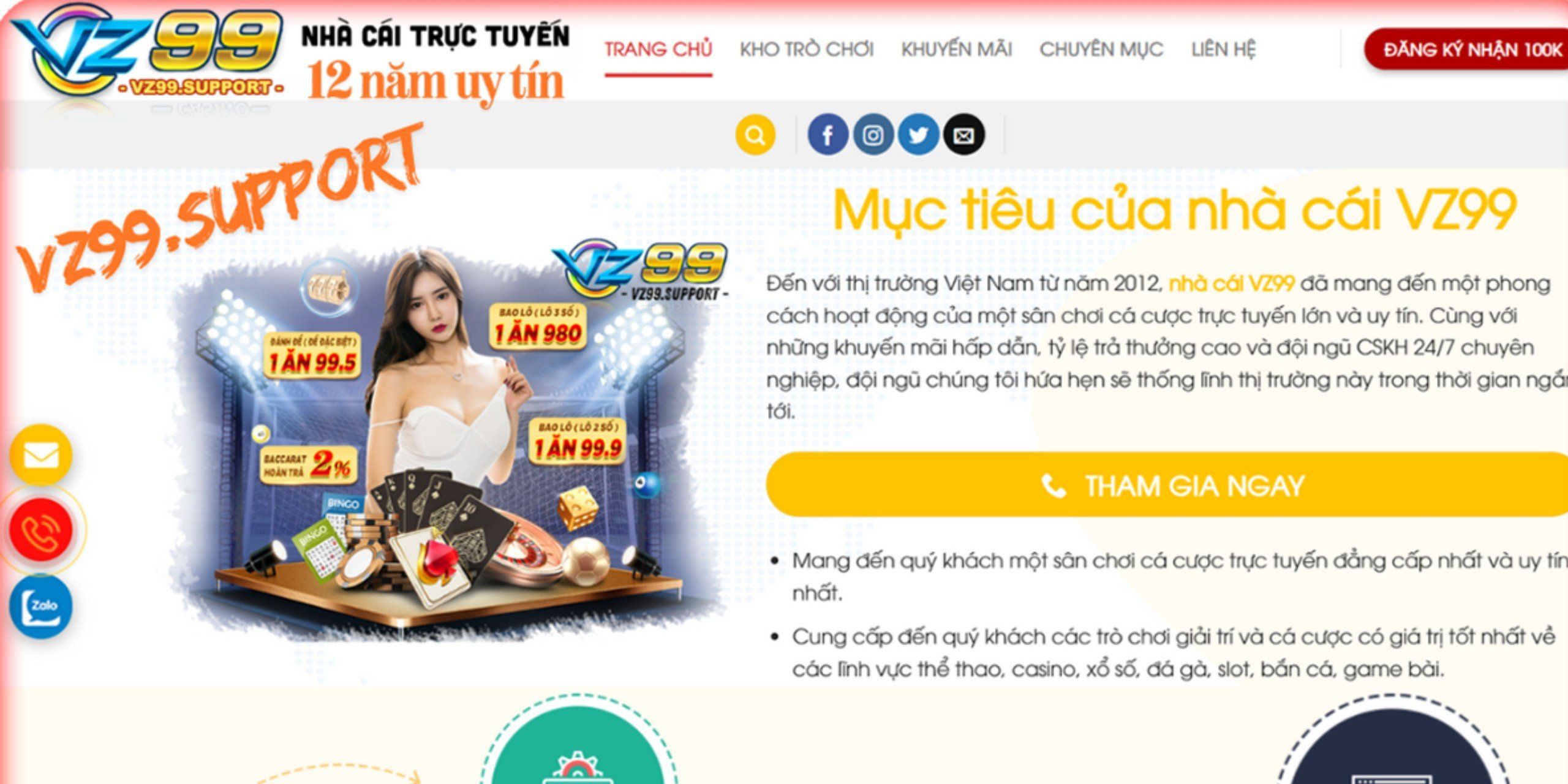 VZ99 Support Cover Picture