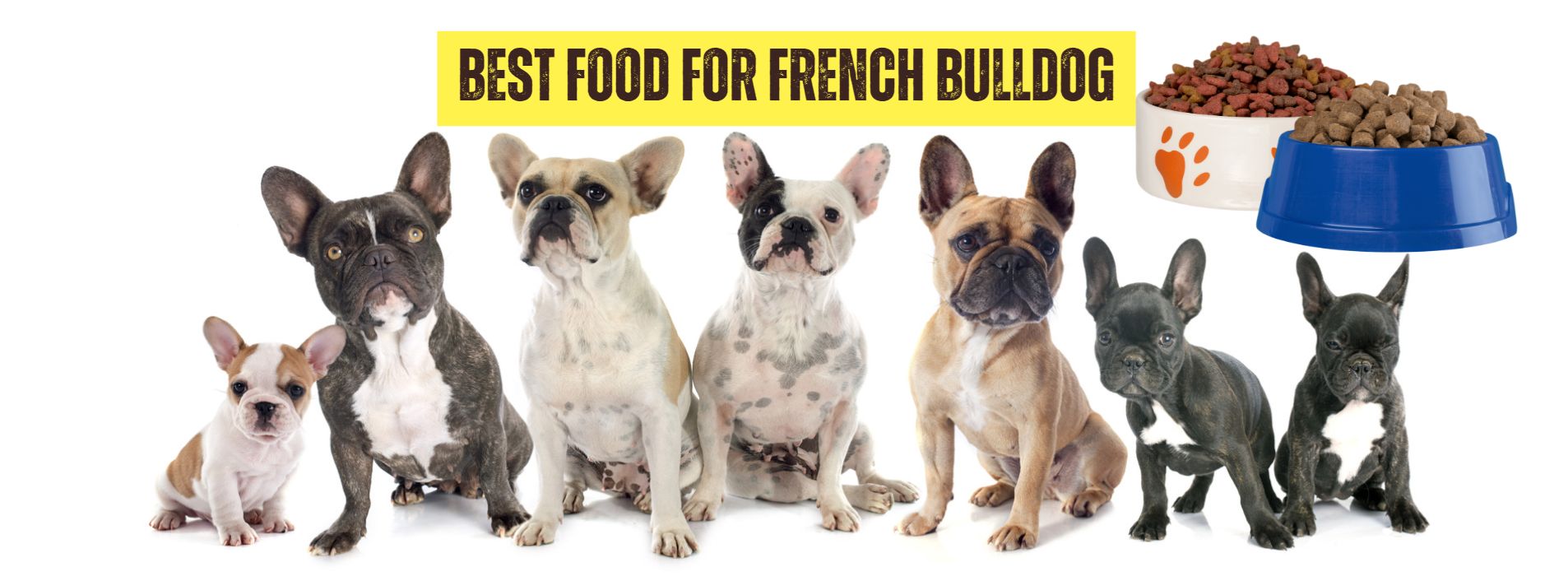 Bulldog Food Cover Picture