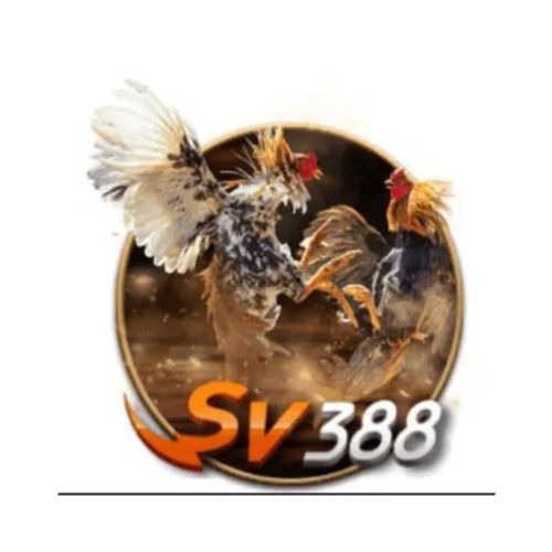 SV388 SARL Profile Picture
