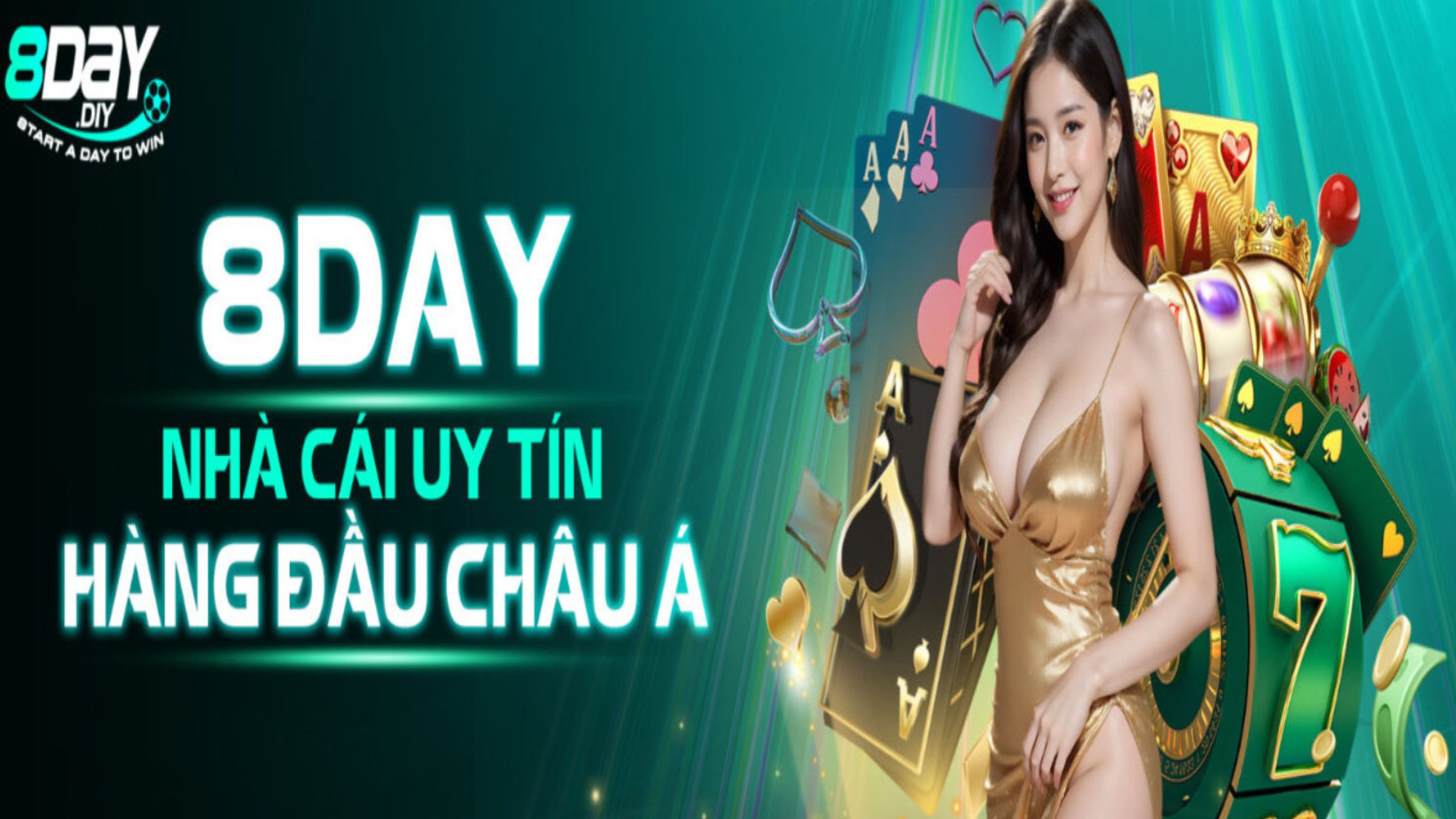 8day Diy Cover Picture