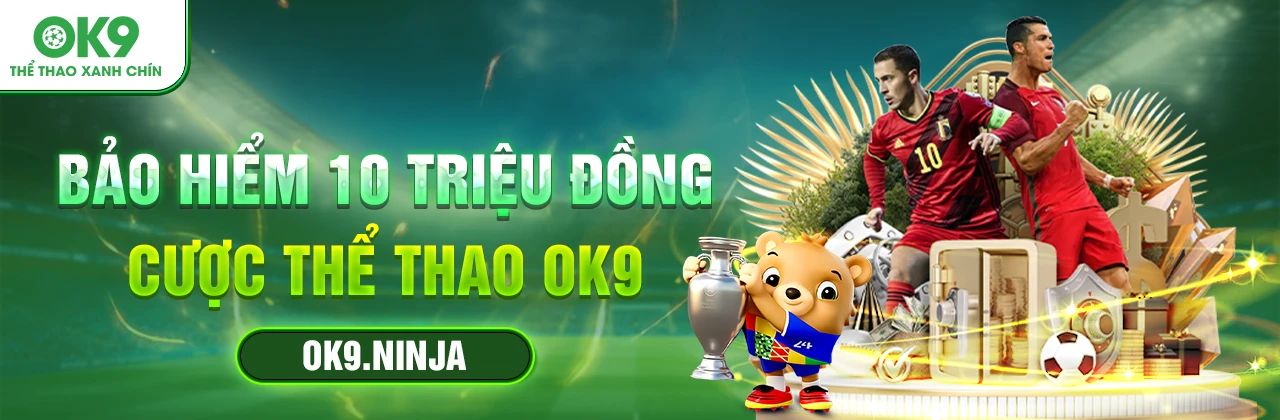 okchin ninja Cover Picture