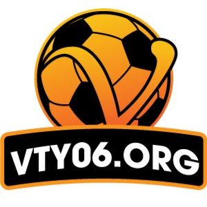 VTY org Profile Picture