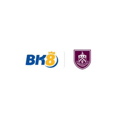 BKVND COM Profile Picture