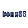 Nha cai Bong Profile Picture