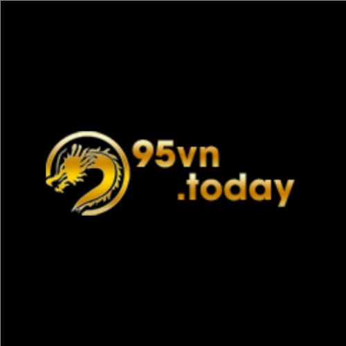 95VN TODAY Profile Picture