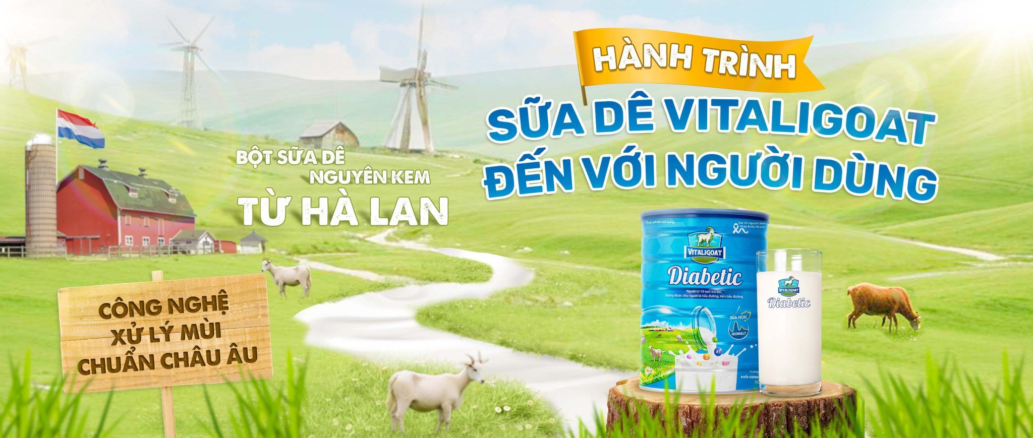 Vitaligoat Diabetic Cover Picture