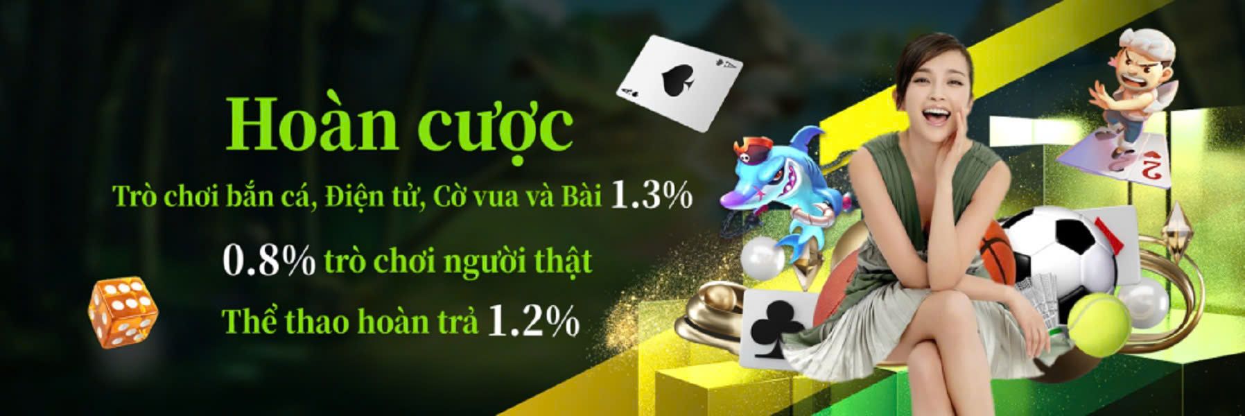 SauchinVN Skin Cover Picture