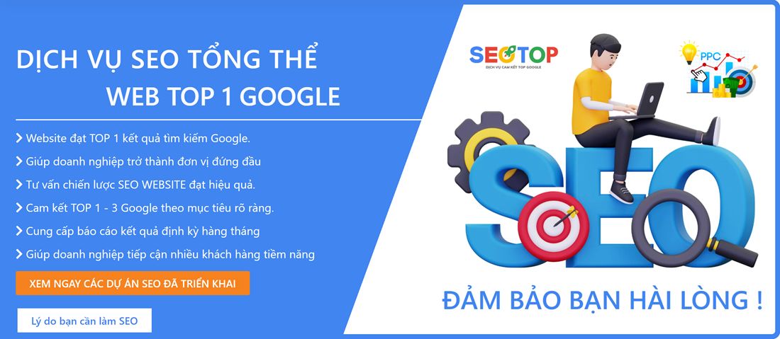 DỊCH VỤ SEO TỔNG THỂ SEOTOPVN Cover Picture