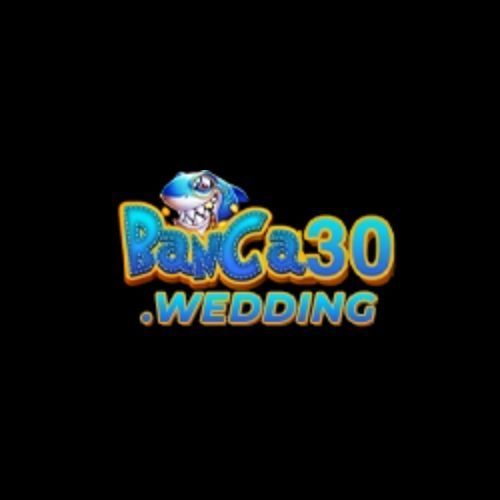 Banca Wedding Profile Picture
