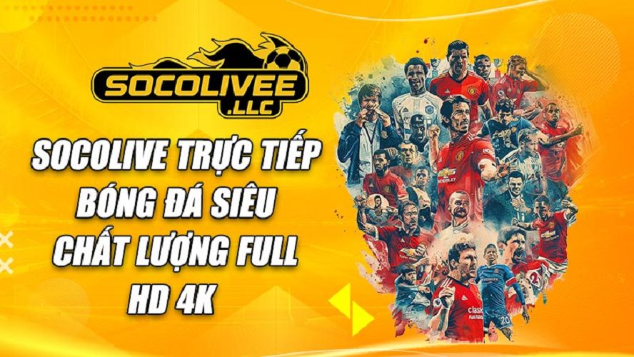 Socolive LLC Cover Picture