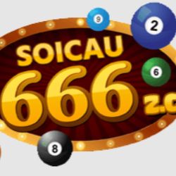 Soicau Soicau Profile Picture