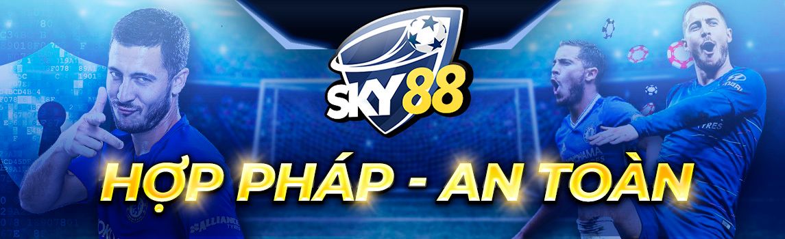 Sky 88 Cover Picture