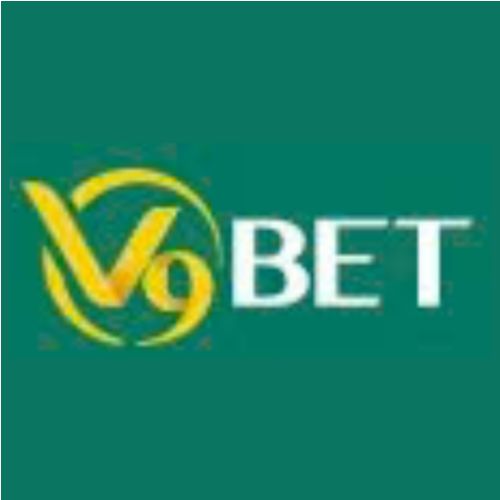 V9Bet Casino Profile Picture