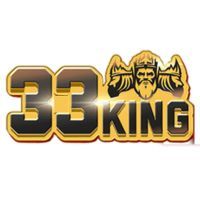 king net Profile Picture