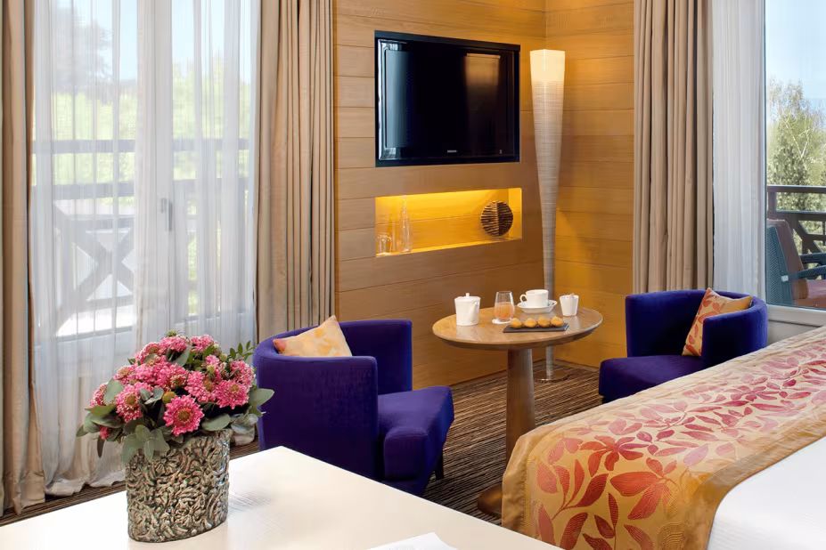 Suite Vue Lac room