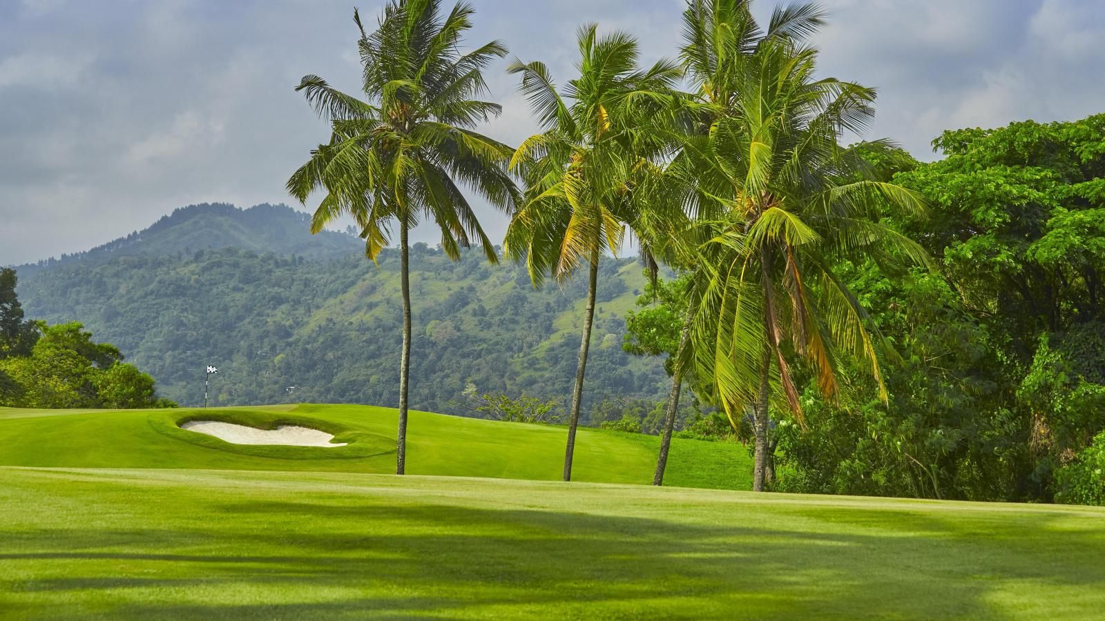 Victoria Golf Resort cover picture
